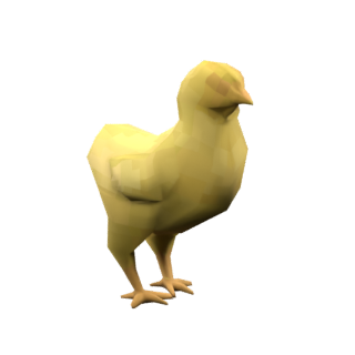 Pollo