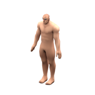 Guerrier déchu