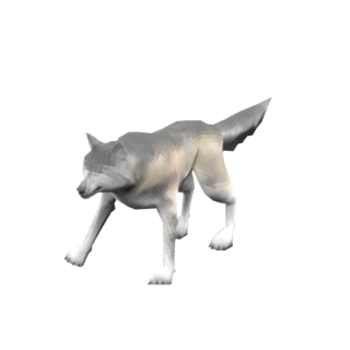 狼の子