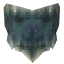 Carapace