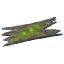 Corteccia antica