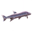Тетра