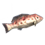 그루퍼