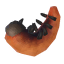 Leuchtende Larve