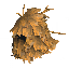ロックスの毛皮のフード