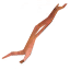 무스 힘줄