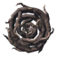 根の盾
