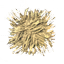 Stroh